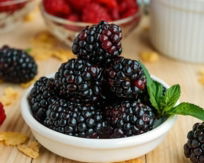 mora-natural-fruvers-4.jpg